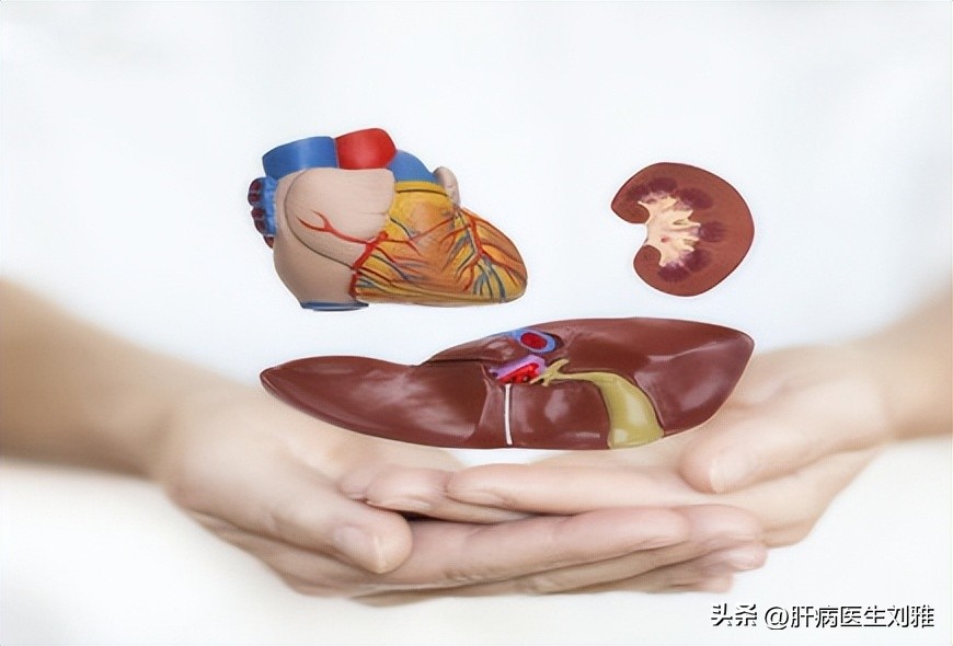 酒精性肝损伤多久会发展成肝癌,酒精性肝炎多久才会变肝硬化