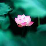 人生最幸福的三件事他乡遇故知,人生幸福的五大忌