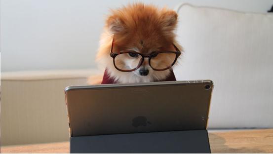 录音翻译文字软件中文完整版,目前最顶级的翻译app录音