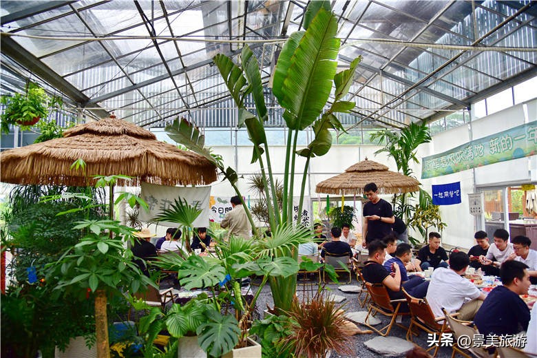 一壶围炉煮茶月引客上万人，佛山旺林艺术花园将网红项目变现