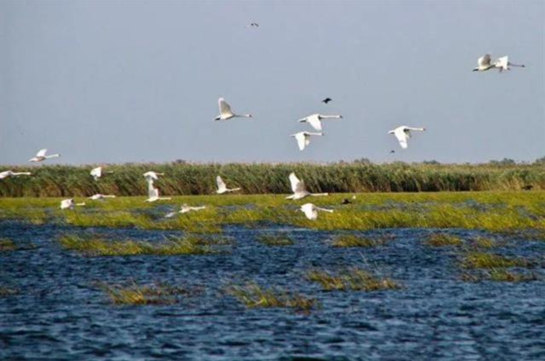北美洲旅游风景地图,欧洲国家旅游地图