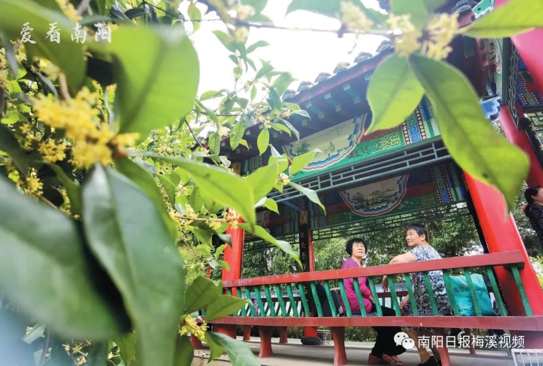 爱看南阳㉟你好2022，再见2021