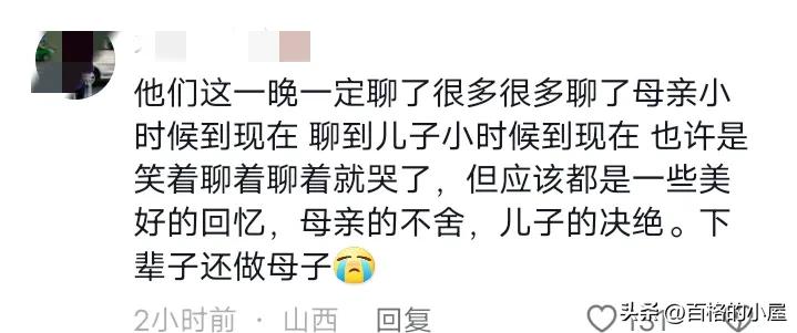 吉林省白山市北山公园上吊事件,吉林白山母子上吊事件后续