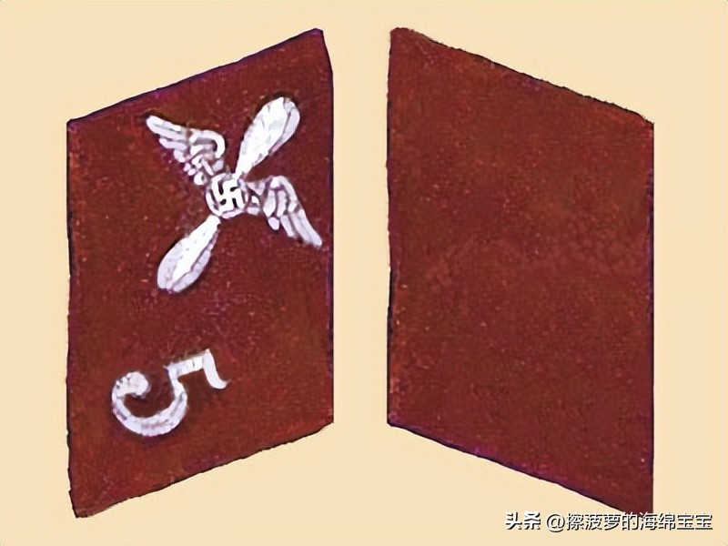 纳粹冲锋队用的什么枪,纳粹德军军衔图解