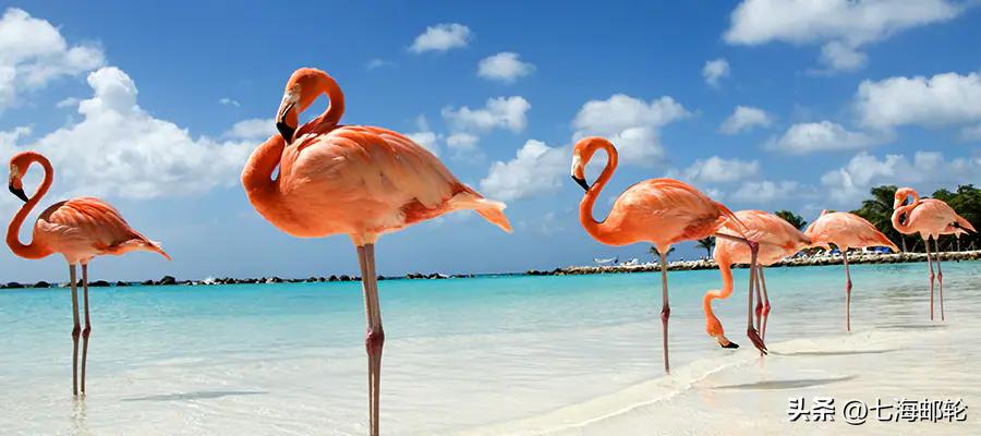 全球三大最受欢迎的邮轮目的地,全球最奢华环球邮轮旅行