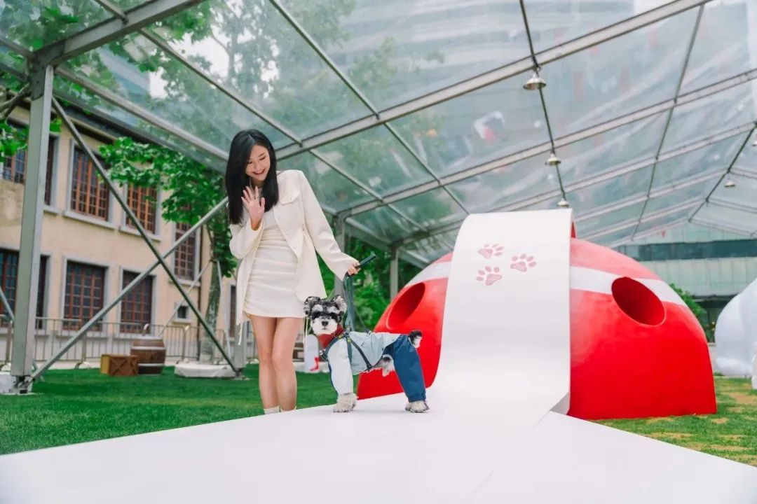 市区100平米宠物游乐园,宠物游乐场室内