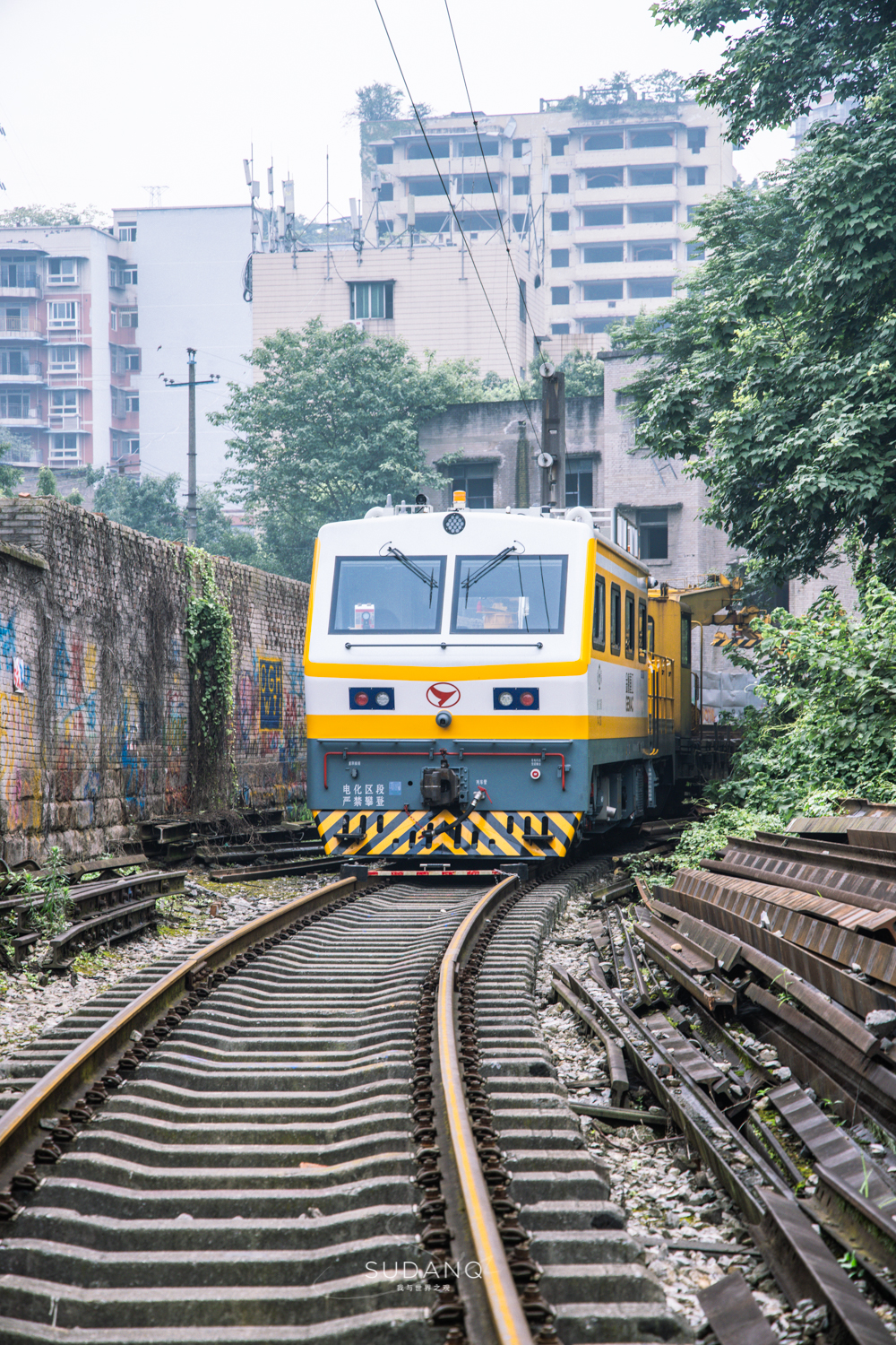 老重庆人的“网红生活”：画家资助老茶馆，大明星打卡旧书屋