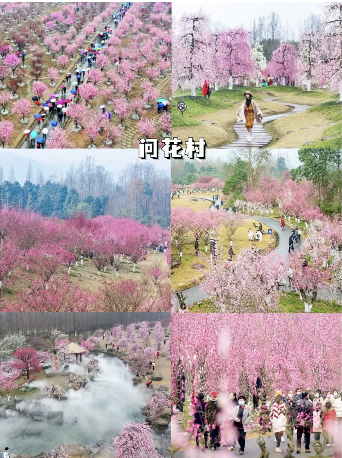 成都火爆的都江堰青城山怎么玩？超全干货攻略来了