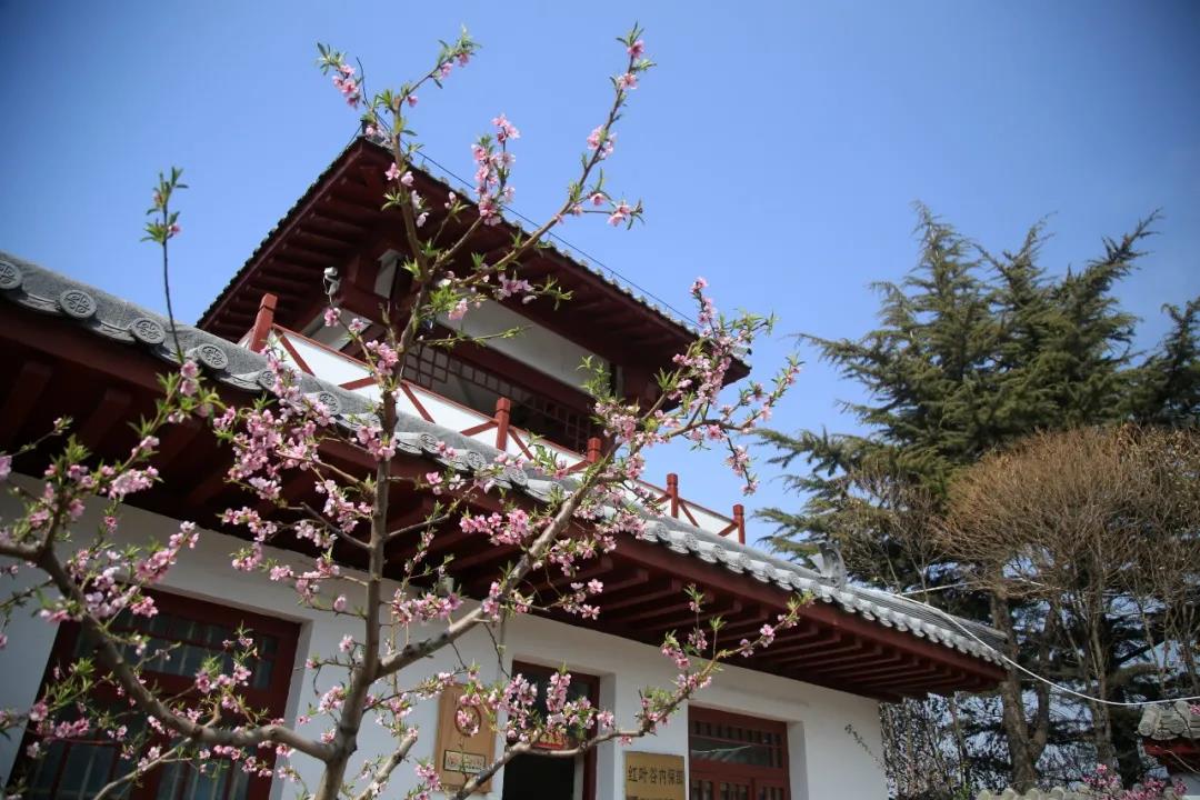 济南南部山区红叶谷旅游攻略,济南红叶谷自驾游最佳路线图