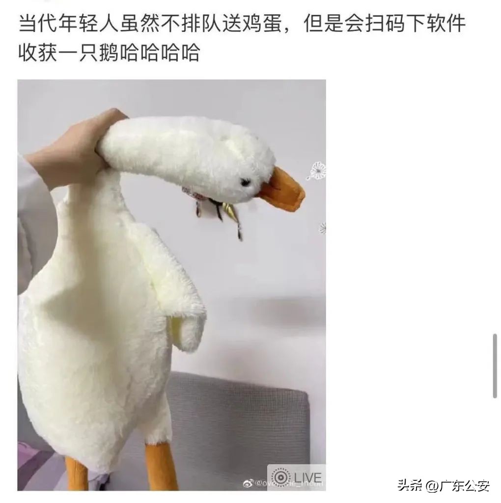 扫码免费领，谁能拒绝一只“大鹅”呢？