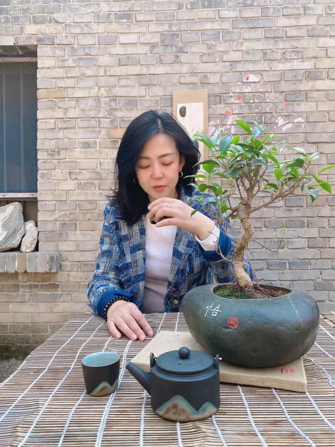 邯郸太行山大峡谷网红民宿,太行山深处风景绝佳的民宿