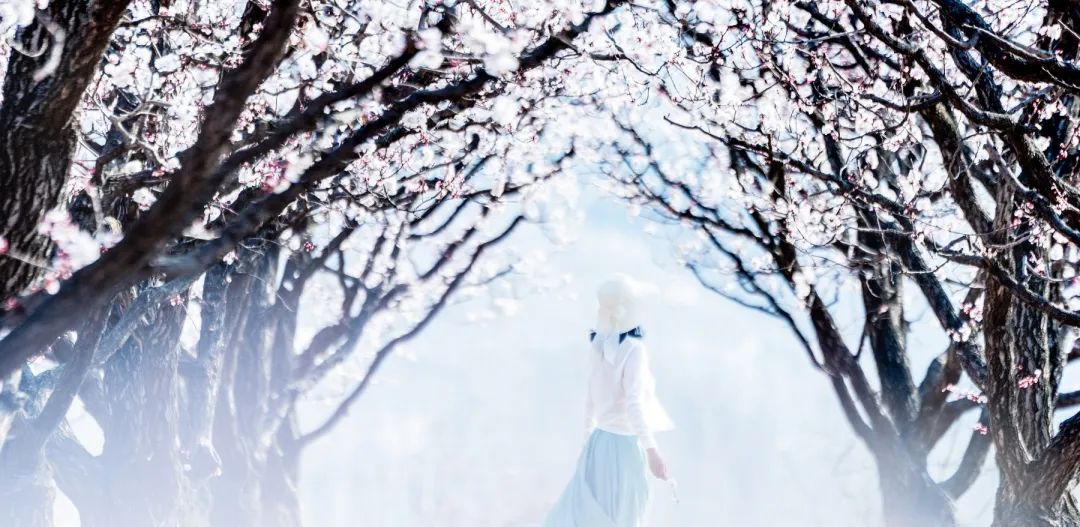 济南周边春天赏花全攻略,济南春日赏花攻略已送达