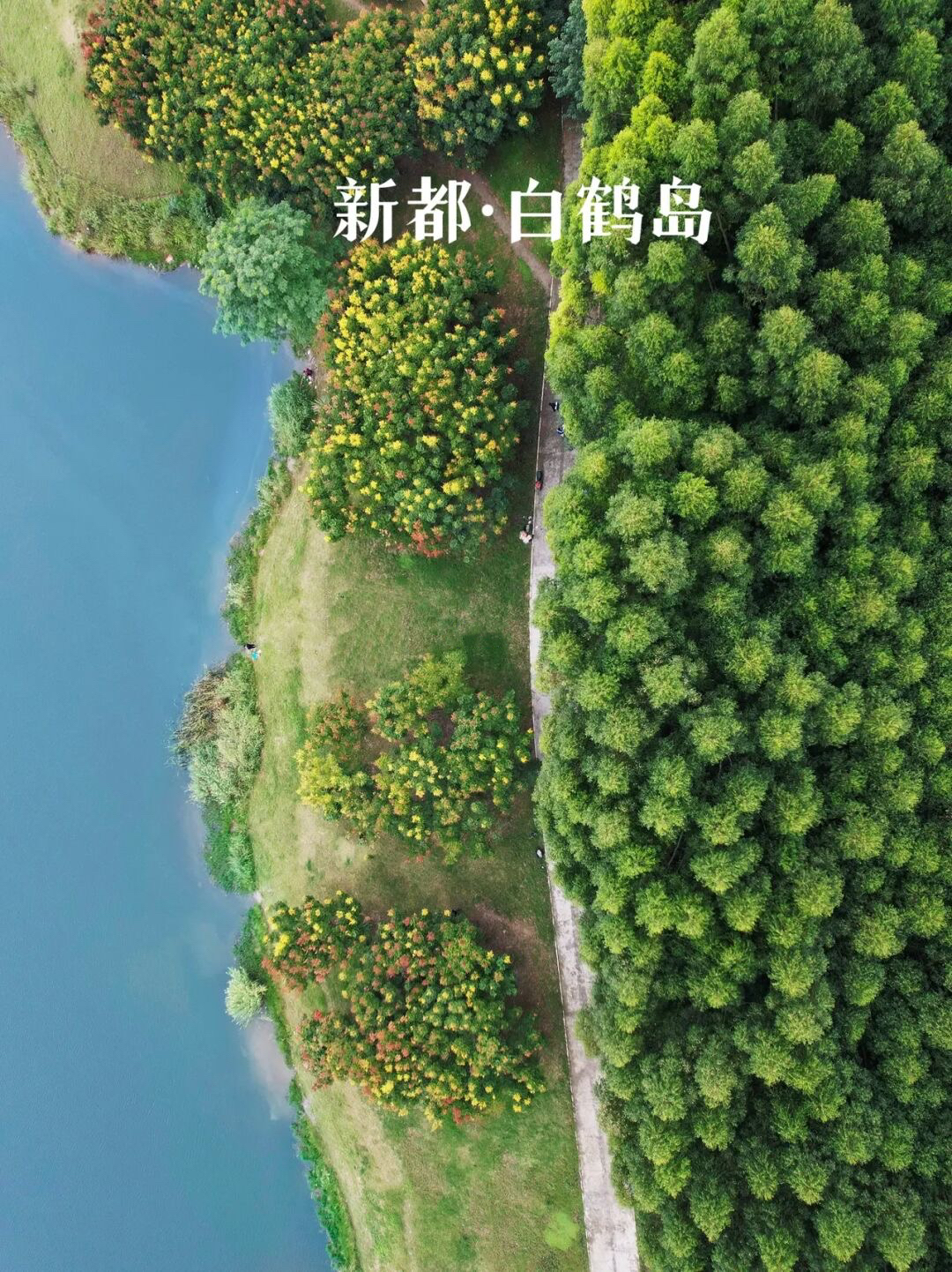 放假去哪里玩又便宜又好玩成都,假期去哪玩便宜又好玩儿成都