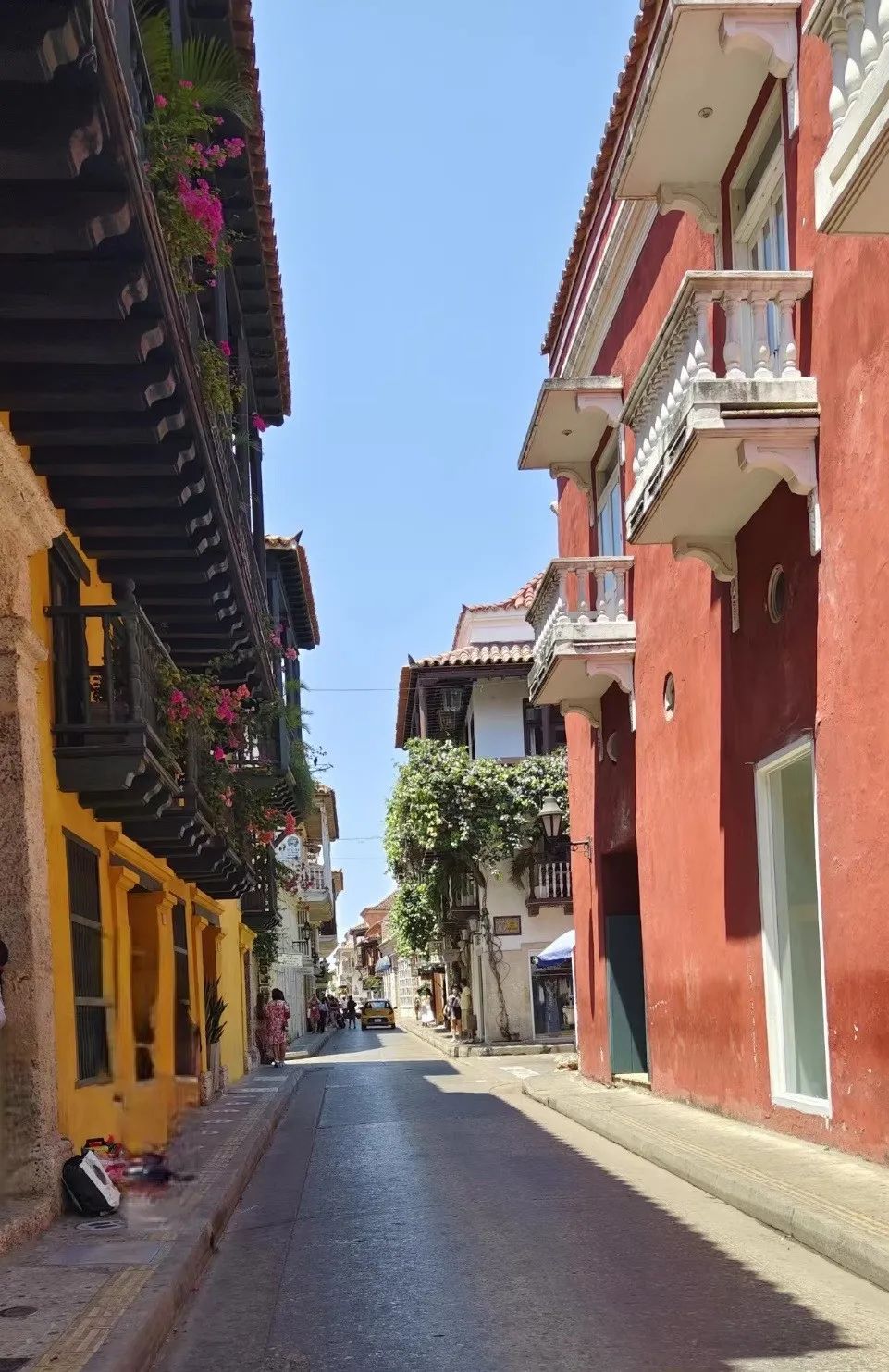 发现不一样的大自然读后感,发现不一样的精彩世界