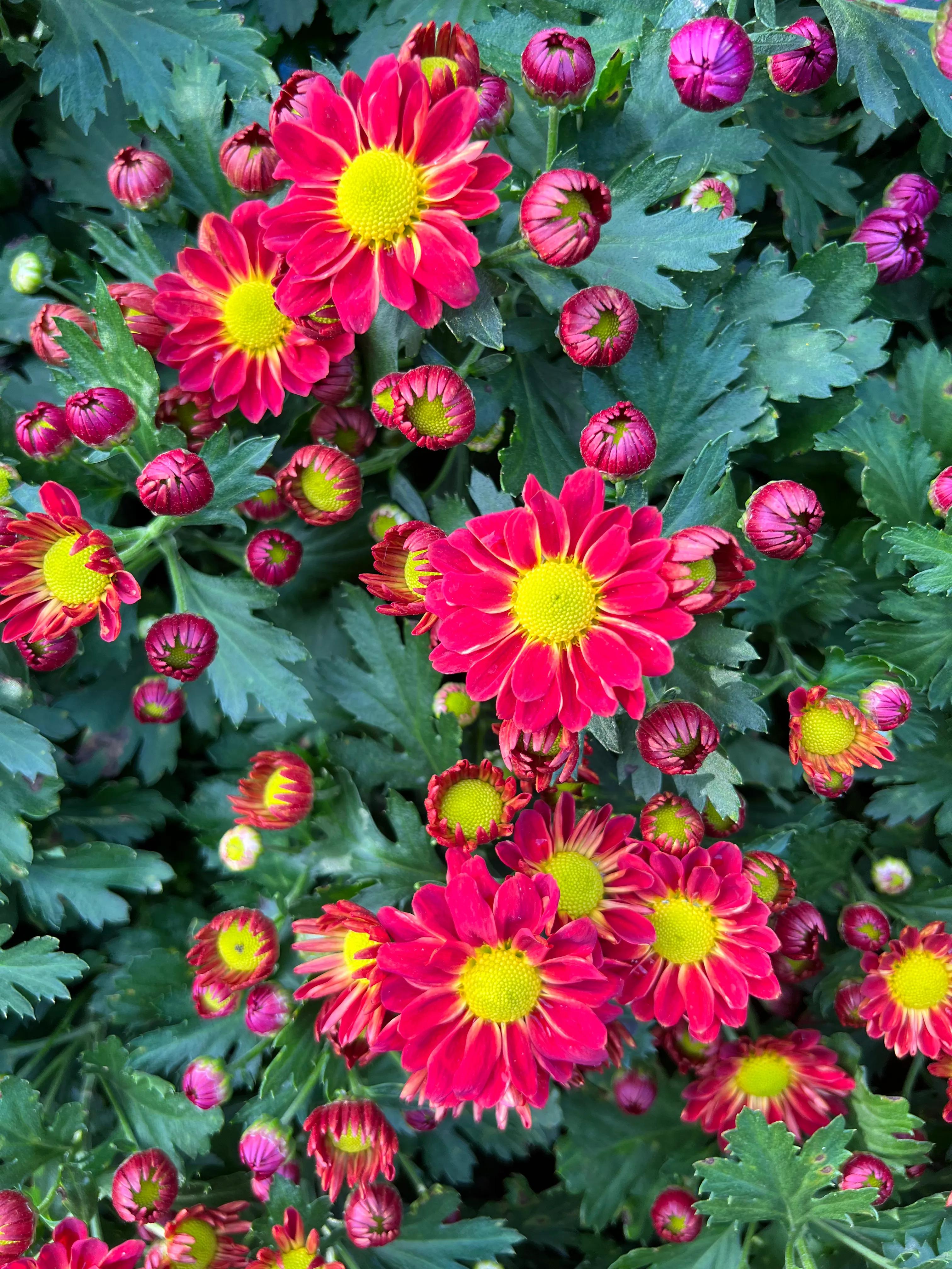 二十条负面清单,21条负面清单是哪些