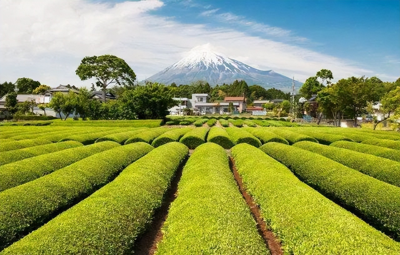 日本搞乡村振兴吗,日本乡村振兴的实践与启示