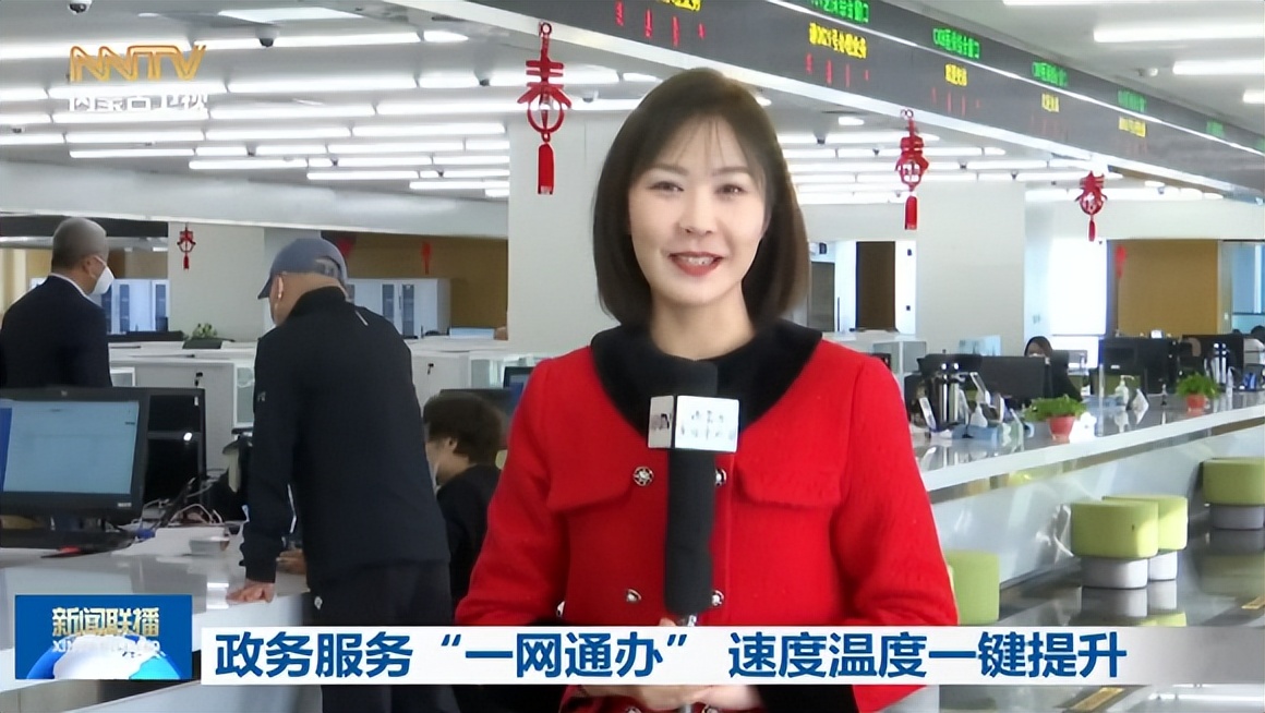 一网通办政务服务 (政务服务1网通办)