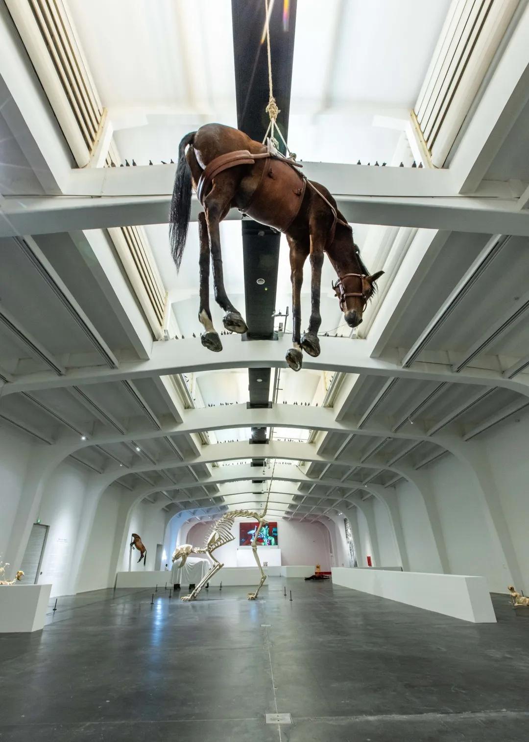 RR·PEOPLE|卡特兰：恶作剧艺术家