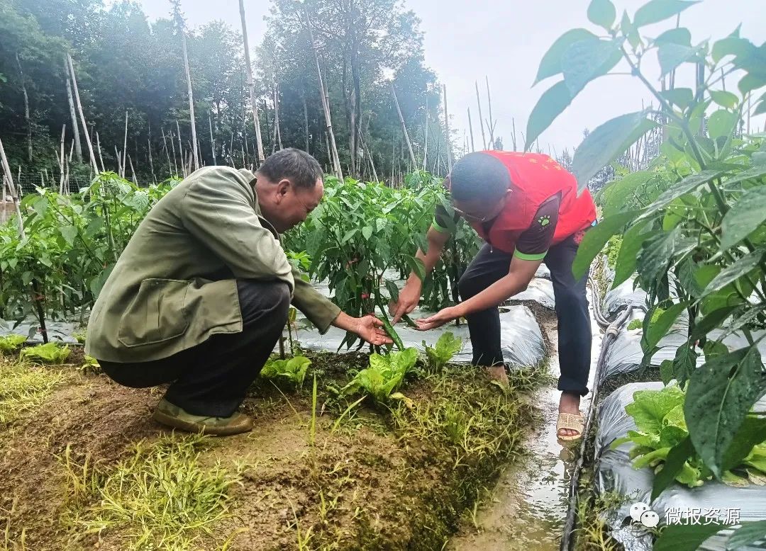 #广西资源【丹霞先锋】用忠诚巩固脱贫成果用实干助推苗乡振兴—记资源县车田苗族乡车田村驻村第一书记黄勇