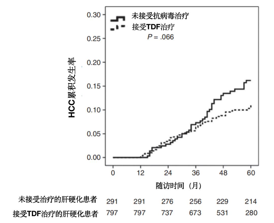 只要乙肝dna阳性就要吃药吗,乙型肝炎hbvdna10正常吗