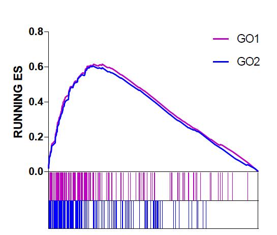一文带你详解redis,gsea软件如何使用