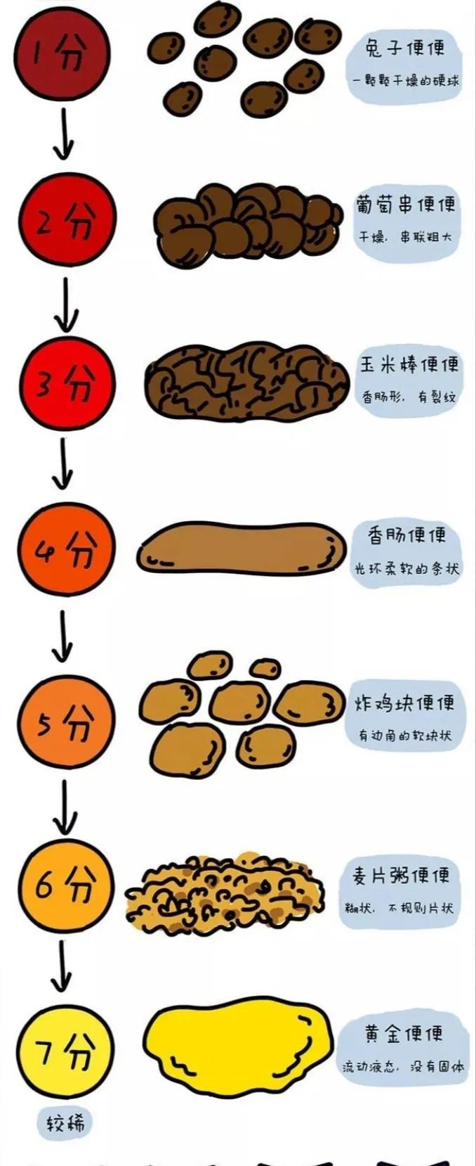 通过便便来辨别宝宝的身体状况,2岁孩子便便的颜色预示身体状况