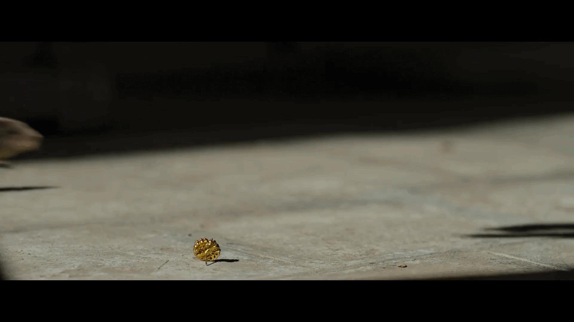 豆瓣8.8的印度电影,印度电影8.8分