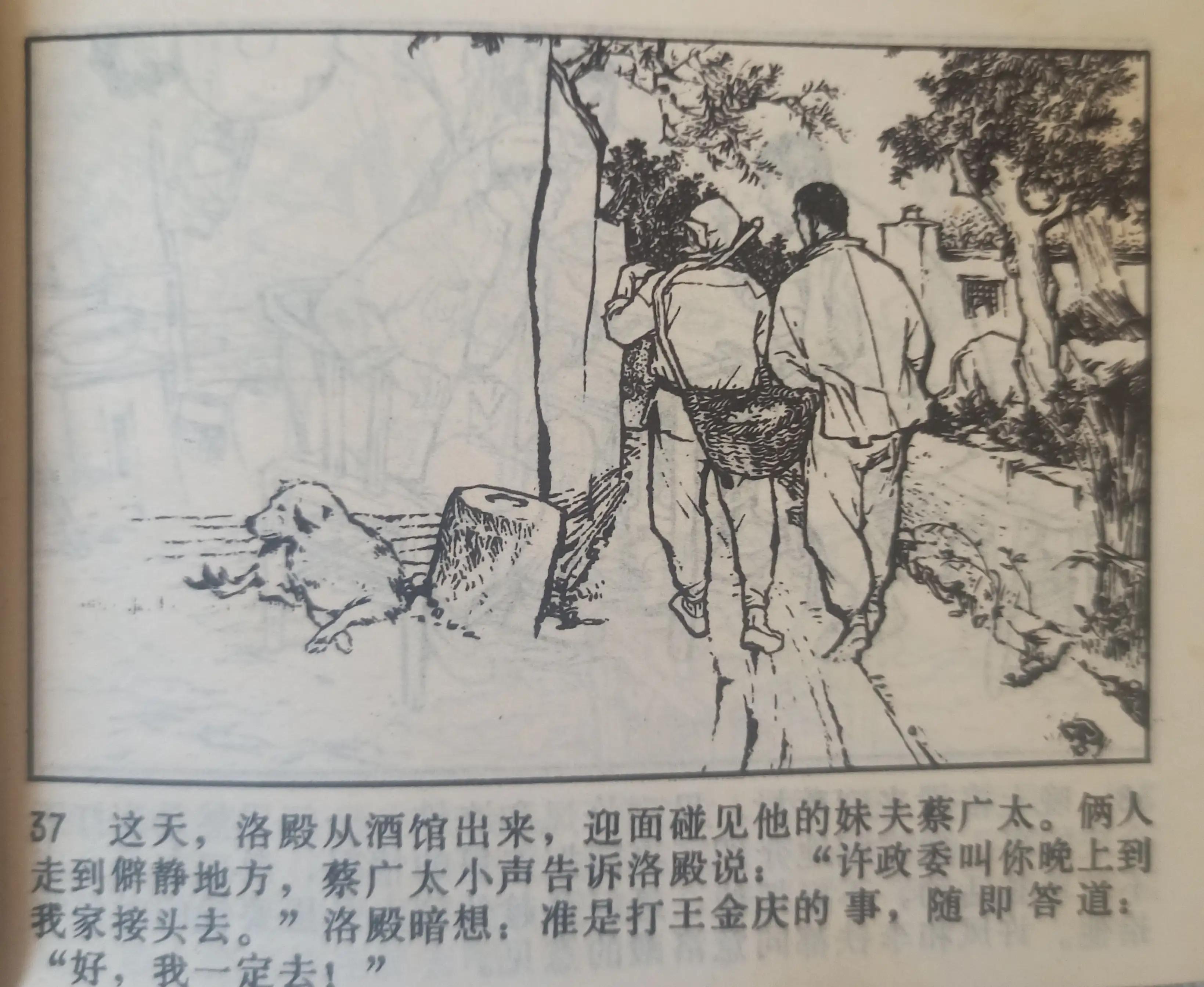 连环画战斗的青春全集,连环画青春的画面