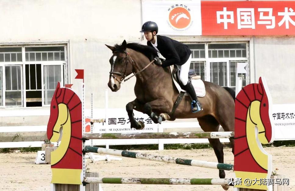 东骏青奥霸气斩获大满贯！2023中马协U系列赛（沈阳站）圆满落幕