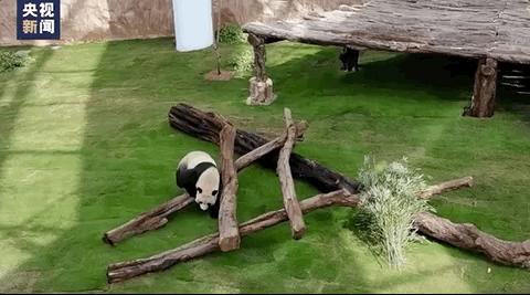 卡塔尔是一个怎样的国家,卡塔尔和哪个国家关系好