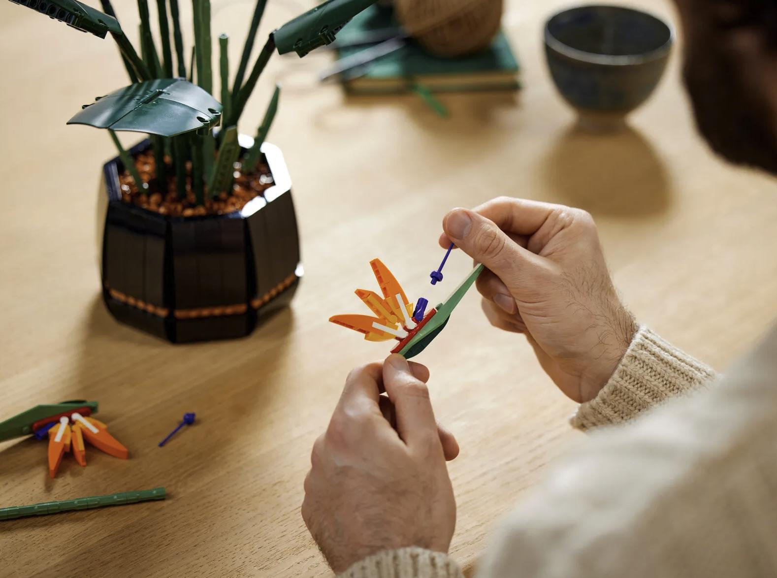 乐高2023年最贵最大的套装,23年最值得入手的乐高