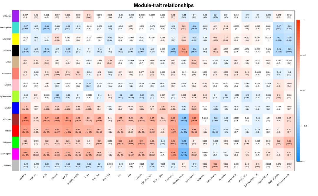 wcgna分析教程,wgcna原理