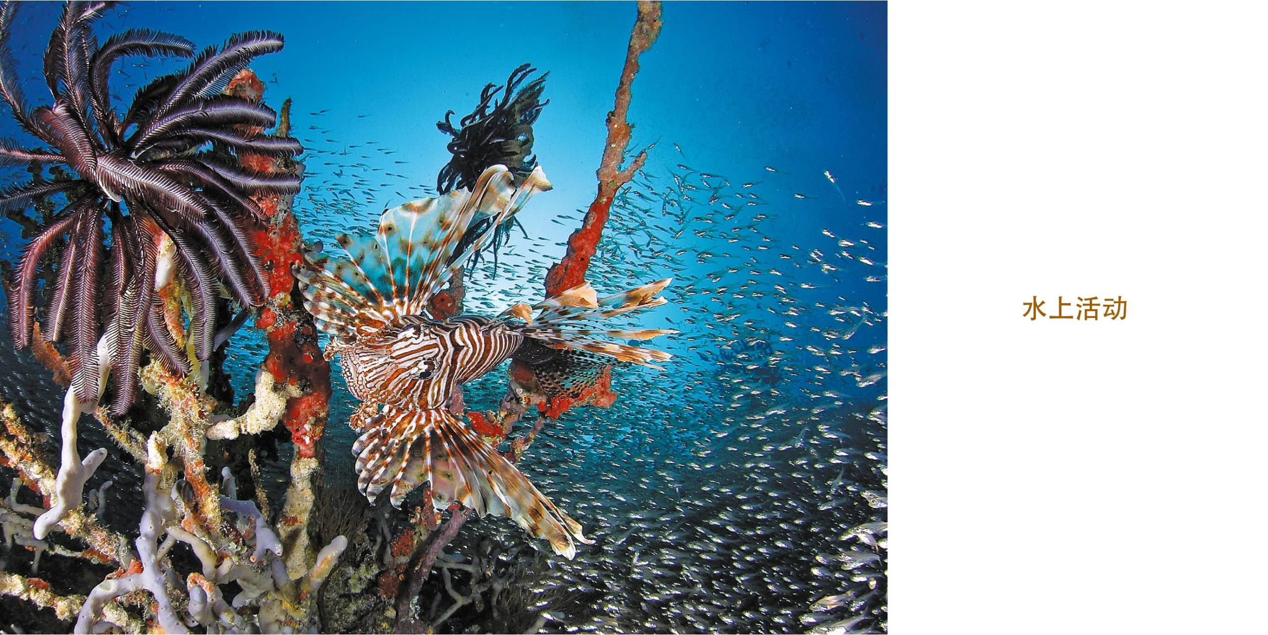 稳居海岛度假热门的马尔代夫top榜第五篇（排名不分先后）