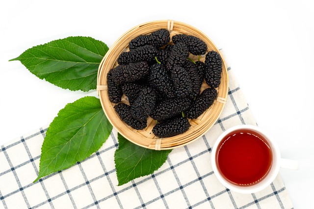 适合农村一年回本的药材,在山里什么药材容易找到又赚钱