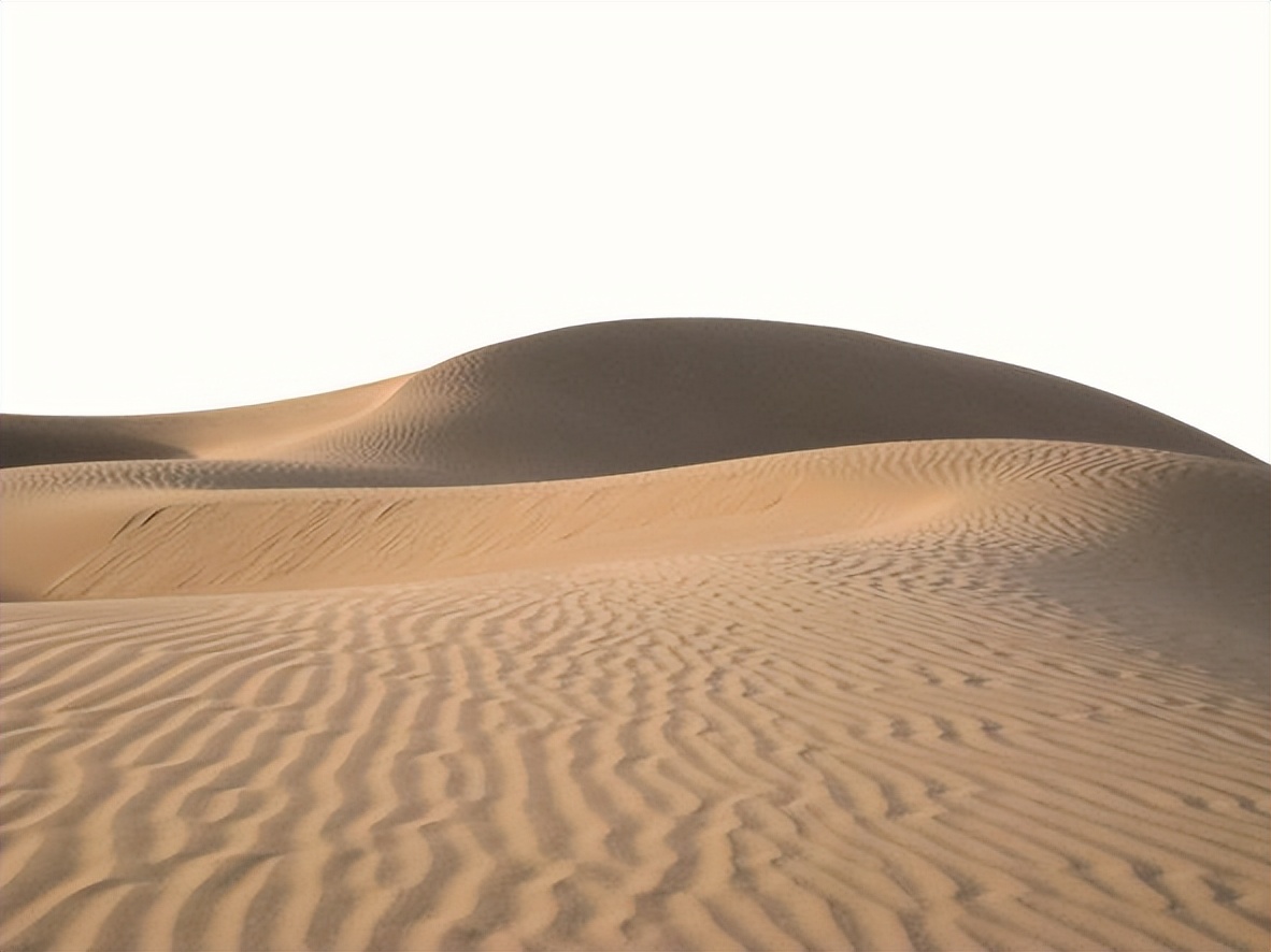 生活只剩下眼前的苟且英语,生活只剩下工作