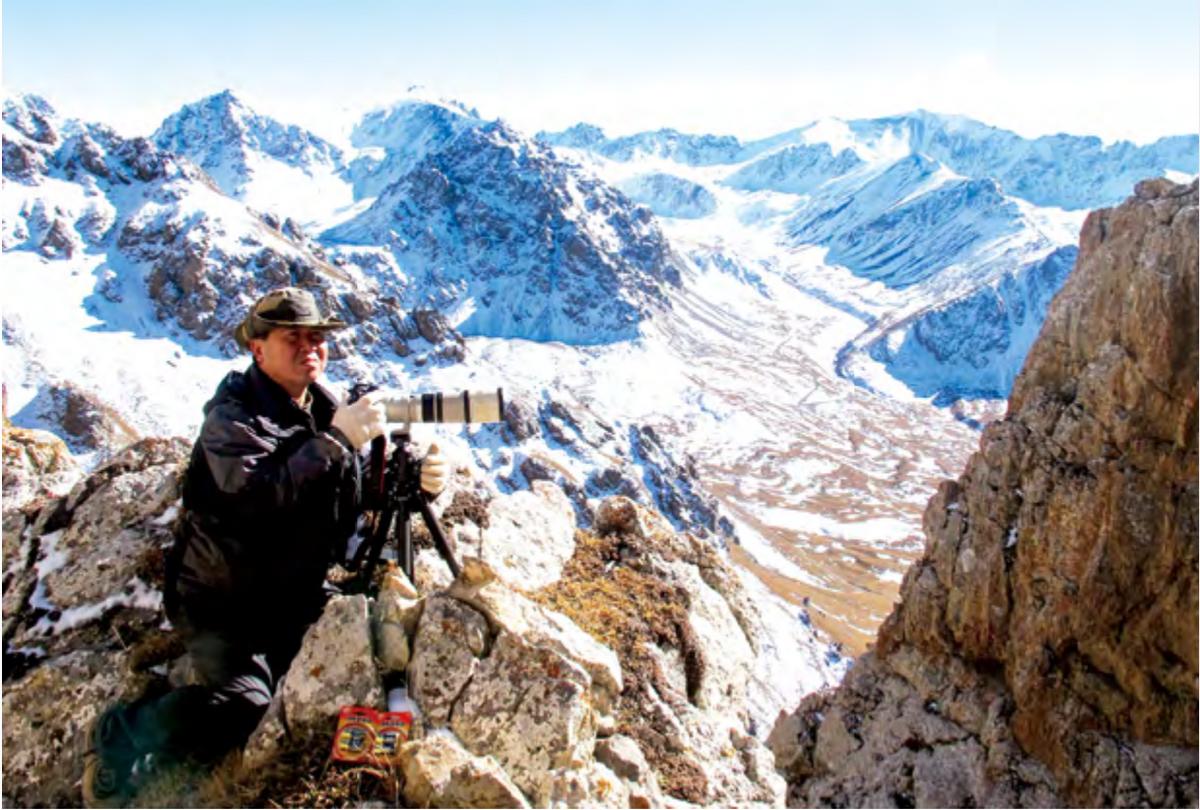 中国特有伊犁鼠兔，喜食天山药草还不会拉肚子，粪便入药叫草灵脂