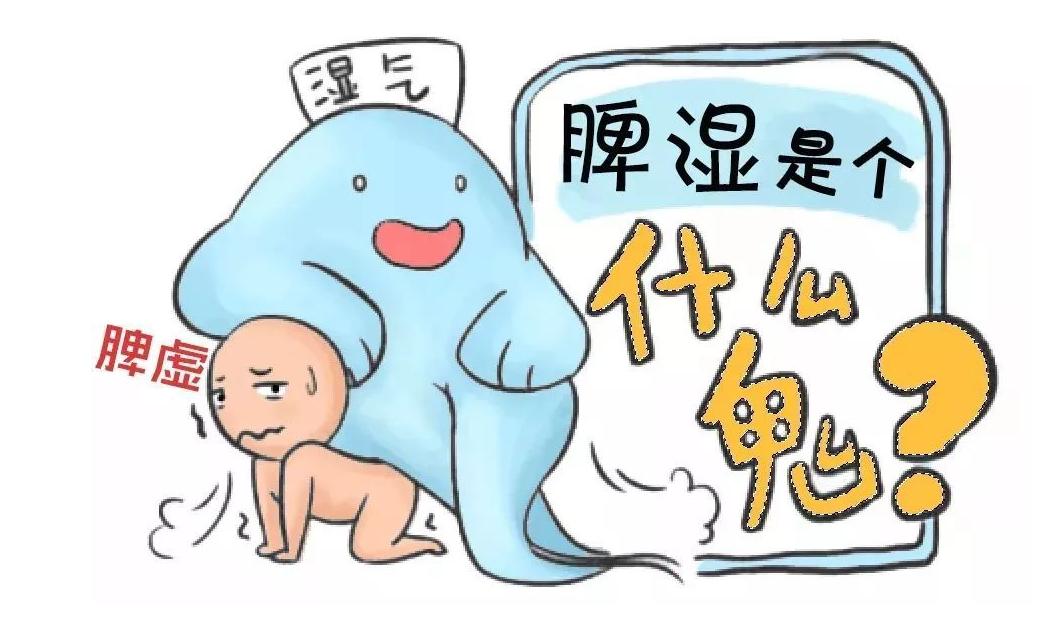 脾胃虚弱吃什么调理脾效果最好,脾胃不好怎么补脾最快最有效大人