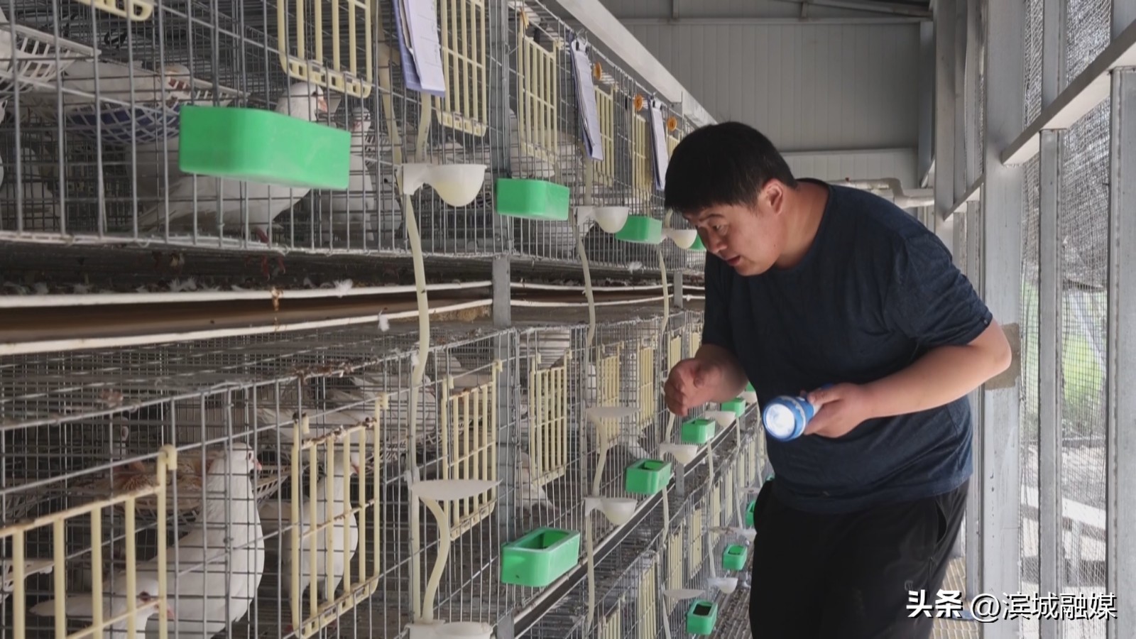 党建引领下推进乡村振兴发展,乡村振兴党建引领新做法人民日报