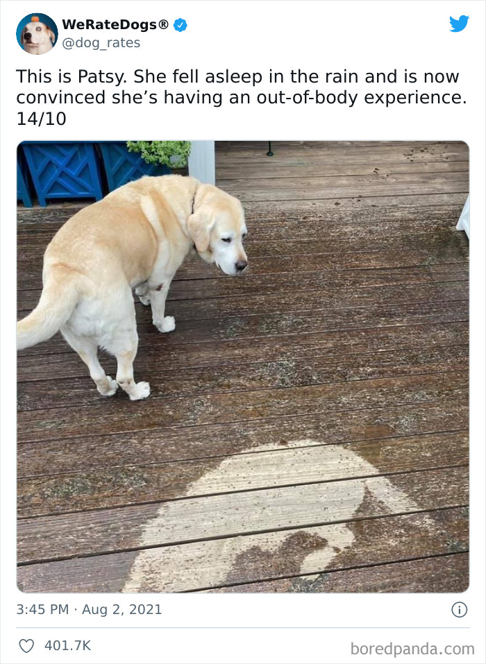 缇庡浗灏忓摜鐐硅瘎瑙嗛,缇庡浗灏忓摜鐐硅瘎