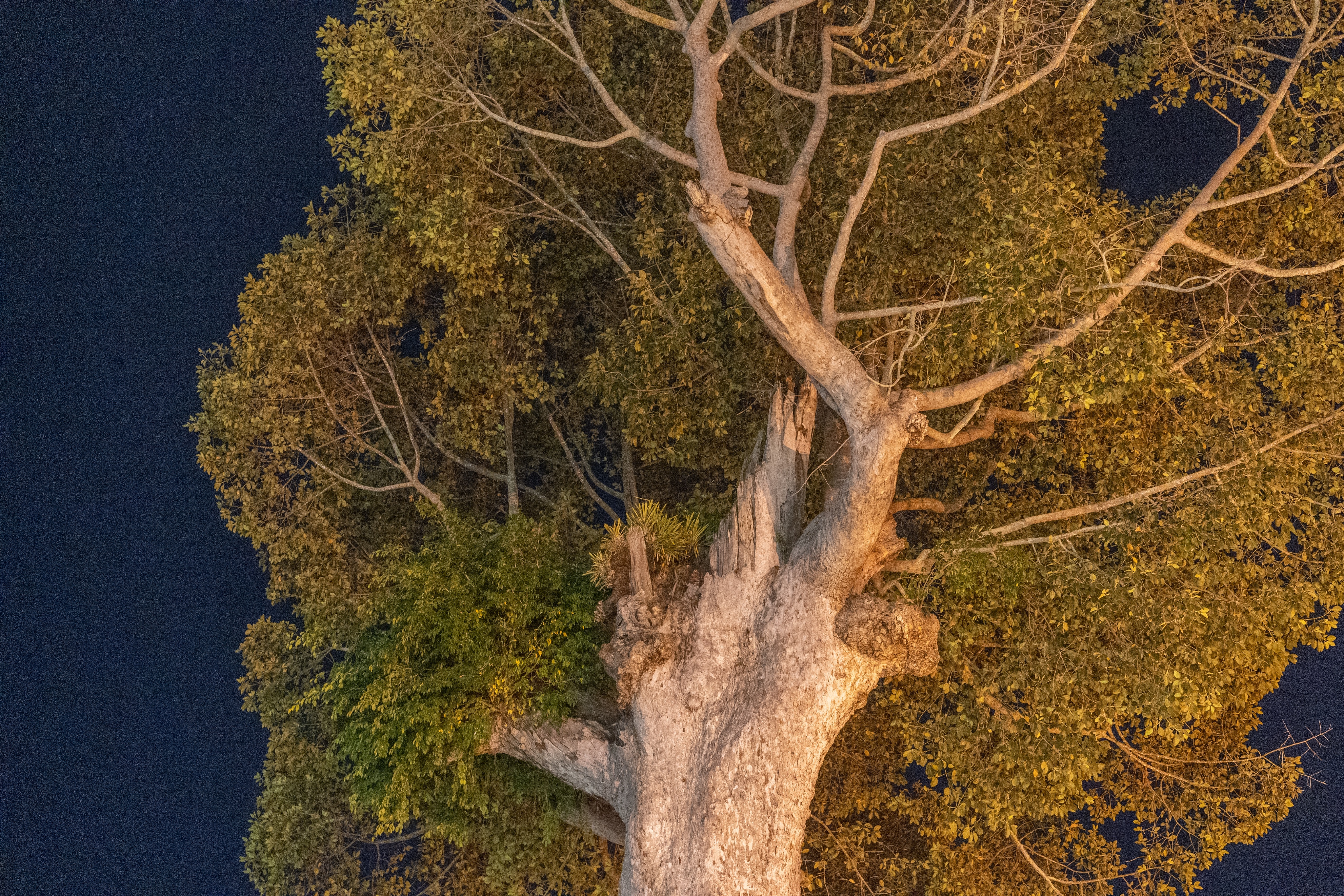 为什么男人都想去泰国,为什么很多女人都喜欢去泰国