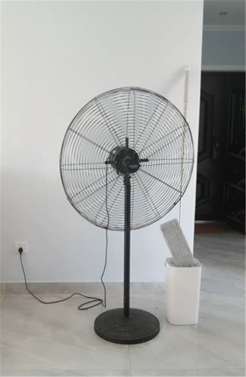 新房应不应该除甲醛,房屋清甲醛公司除甲醛是智商税吗