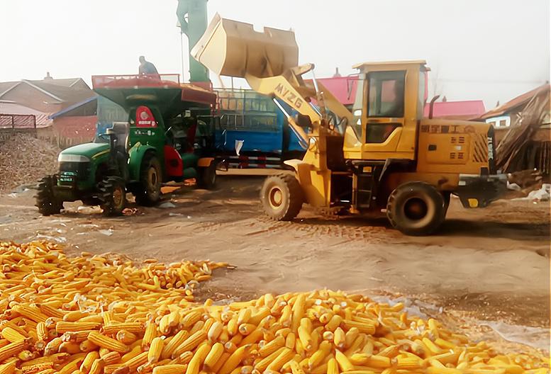 为啥要说穷死不耕丈人田什么意思,俗语再穷不耕丈人田