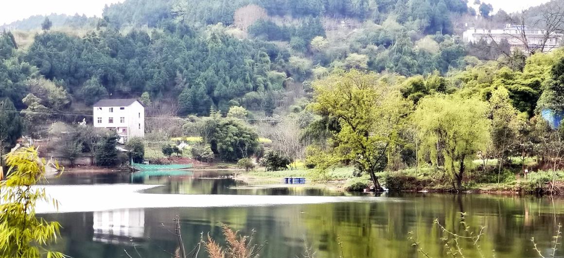 烟雨江湖成都境内宝藏,成都附近小众宝藏旅行攻略