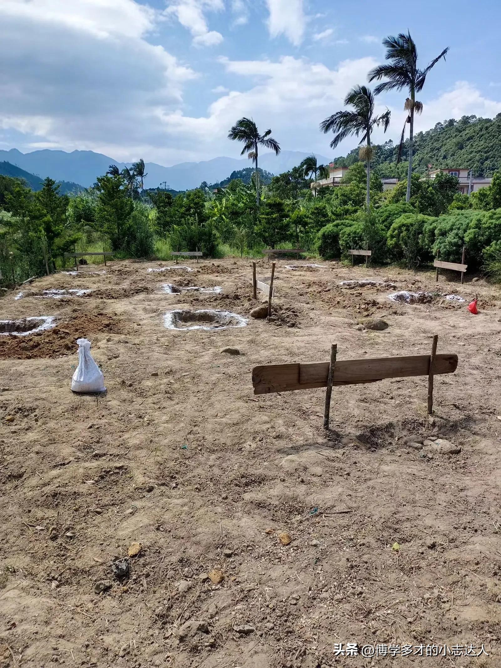 农村老宅基地盖房申请,农村自建房申请宅基地