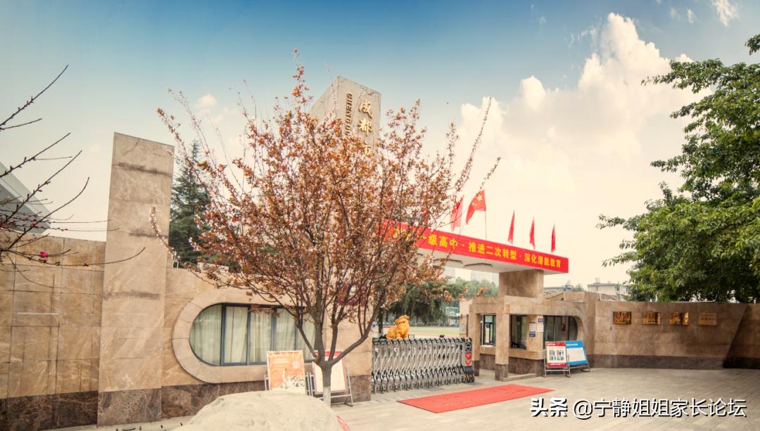 新势力降临,新学期新势力