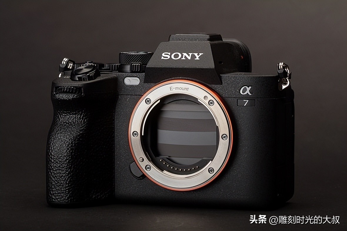 佳能eosr6索尼a7r3哪个好,索尼a7r4佳能eosr6对比