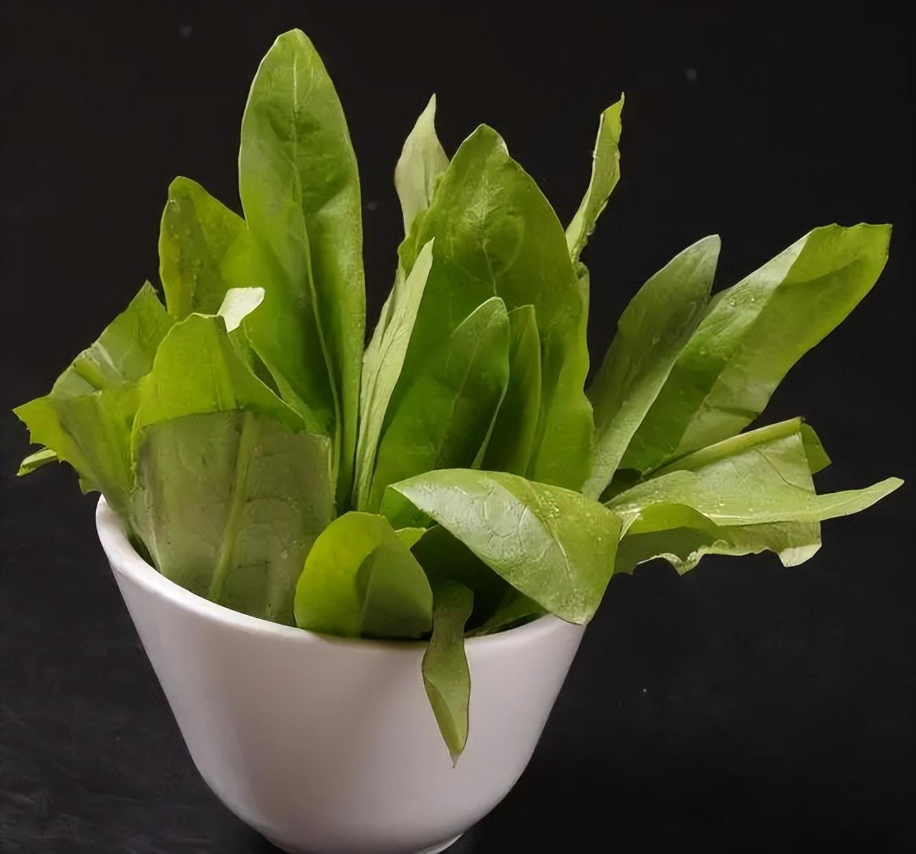 如何正确吃饭顺序最健康,饮食少食多餐才是正确的饮食