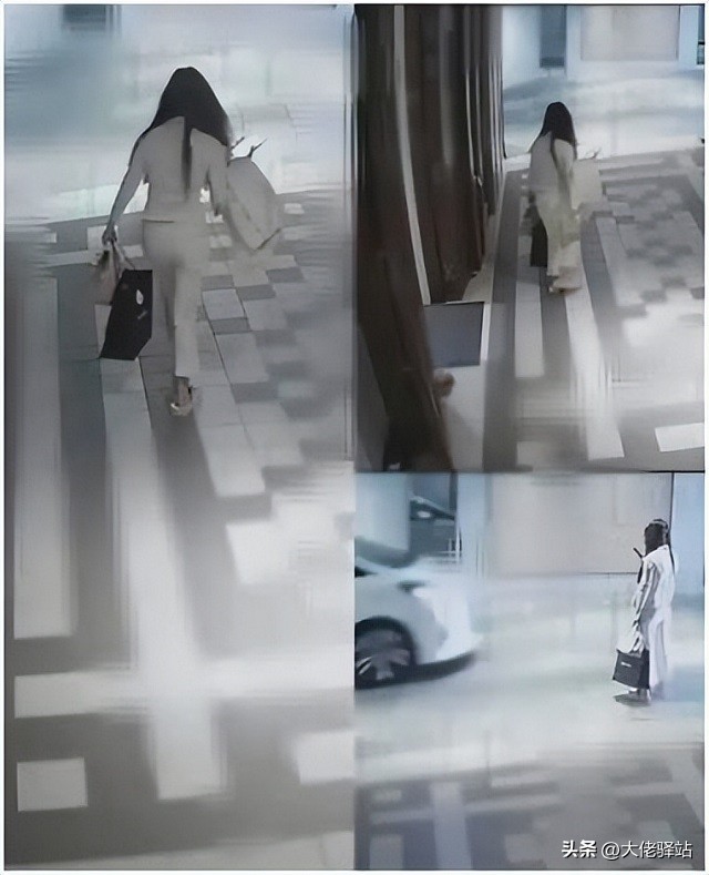 香港警方谈蔡天凤被害案,香港蔡天凤案最新进展