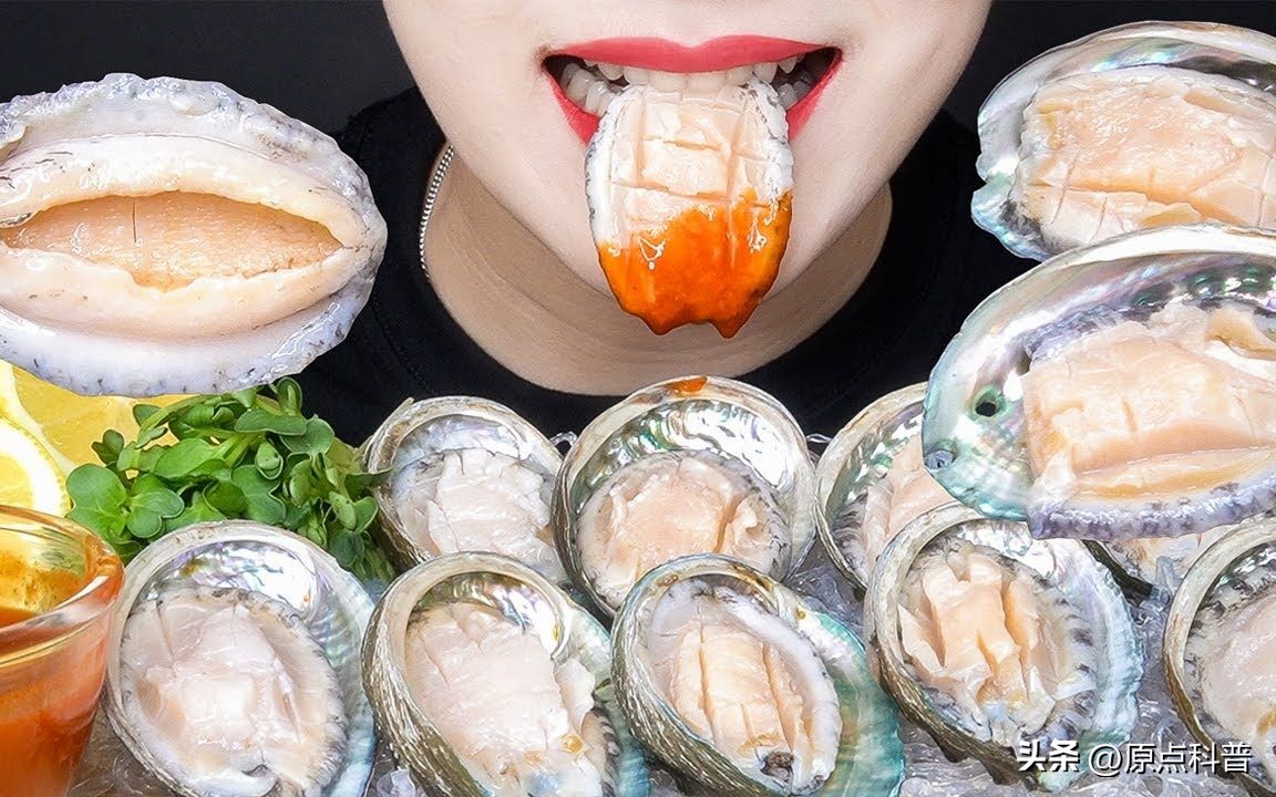 中国十大海鲜最新排名,国内生吃海鲜排行榜前十名