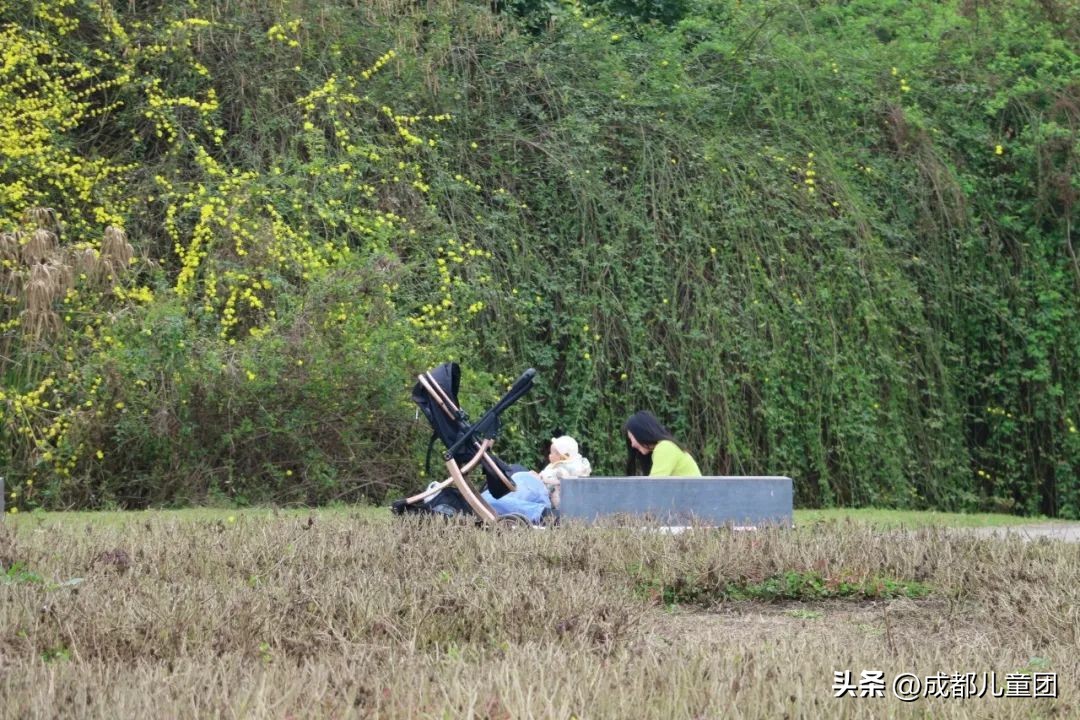 地铁3号线能到的美景地方,一号线地铁直达的风景